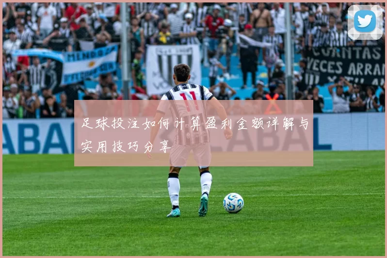 足球投注如何计算盈利金额详解与实用技巧分享