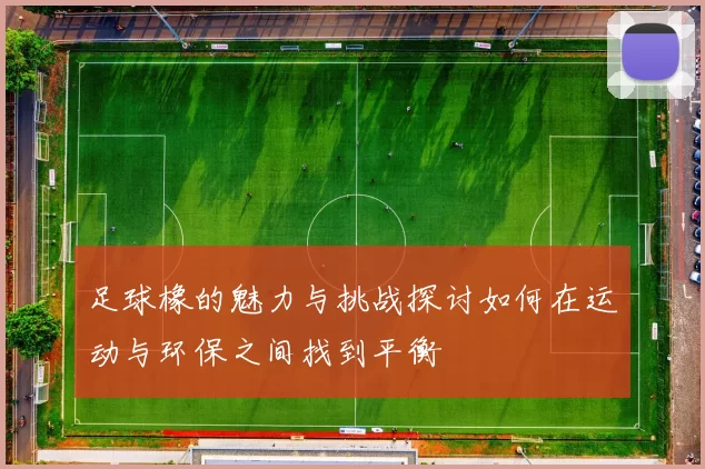 足球橡的魅力与挑战探讨如何在运动与环保之间找到平衡